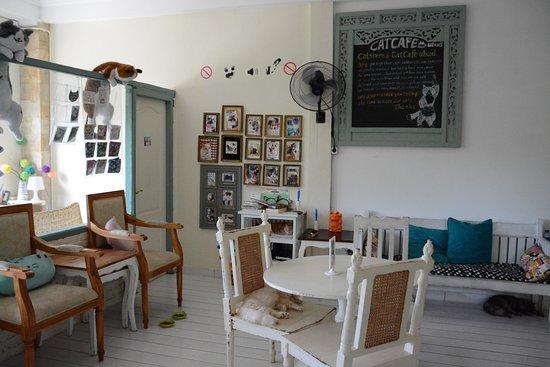 Cat Cafe Ubud